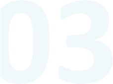 03